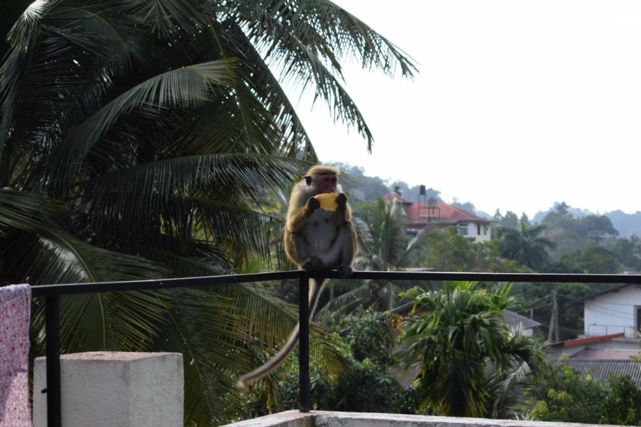 Kandy Backpackers Hostel Eksteriør bilde