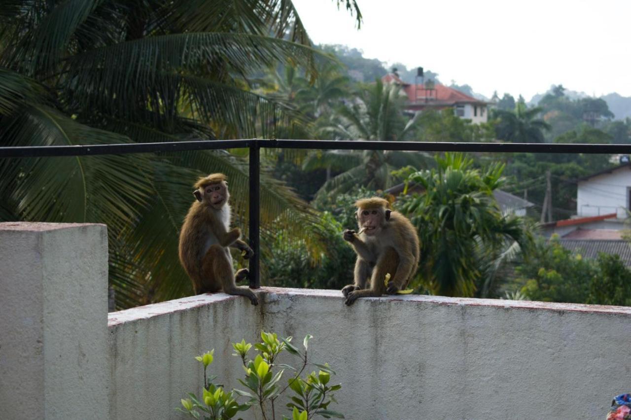 Kandy Backpackers Hostel Eksteriør bilde