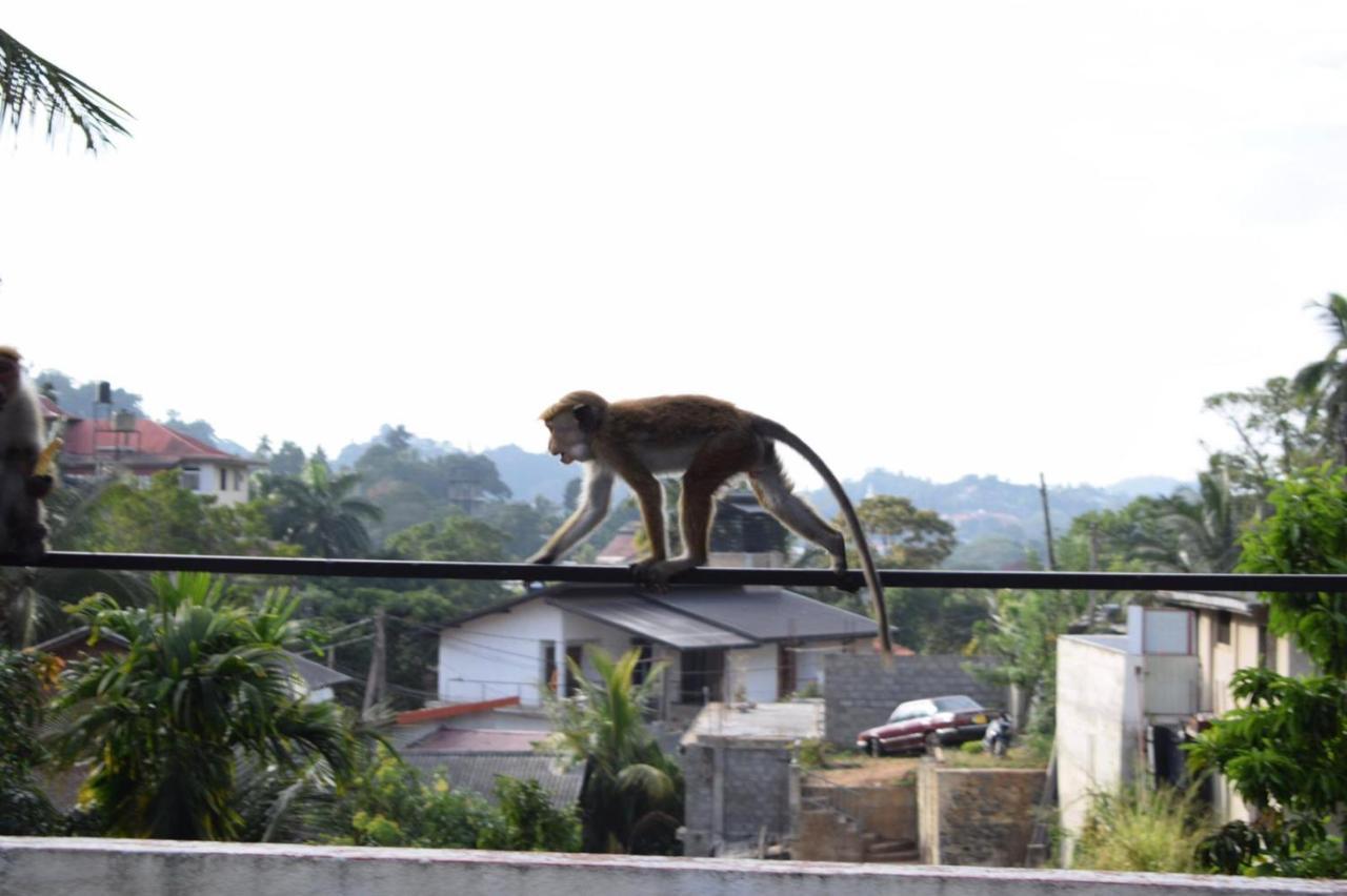 Kandy Backpackers Hostel Eksteriør bilde